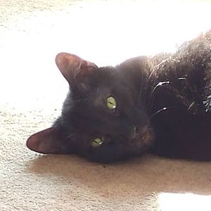 Meet your Posher, Lisa